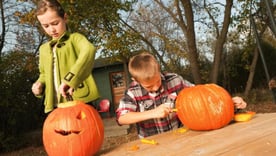 5603e7e2-d7b0-47a8-95ac-794526c02107_image2_kids_carving_pumpkins